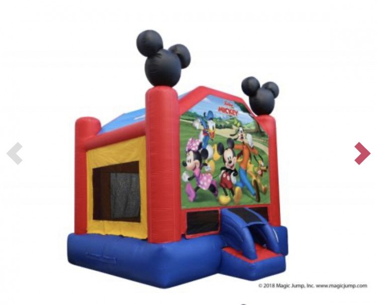 Mickey and Friends Bounce