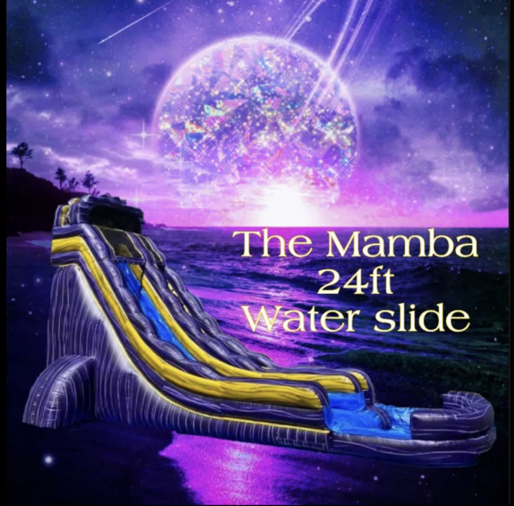 The Mamba