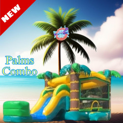 1AF33D04 BA17 4BB2 9D25 CA39F1A0132A 1746232809 Palms Slide