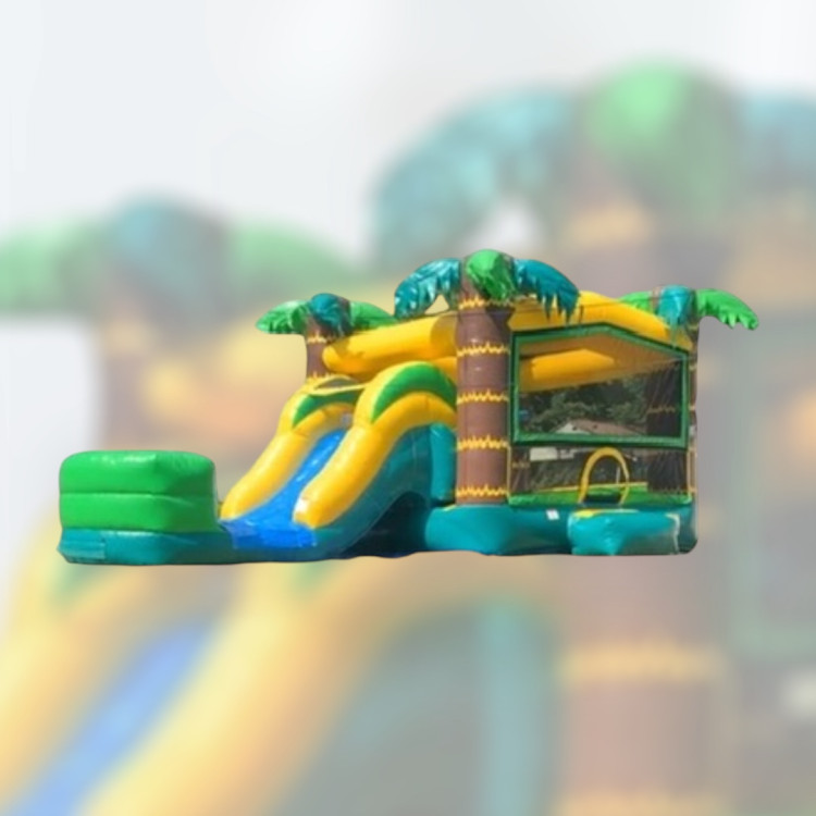Palms Slide
